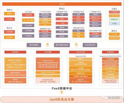 世界互联网大会聚焦数字经济新趋势，珍岛智能营销引领互联网数据服务未来